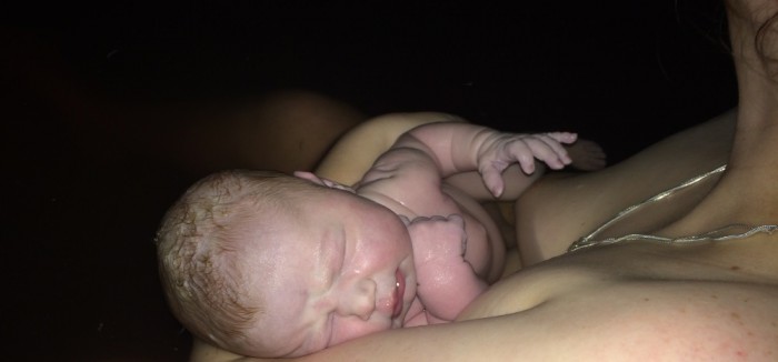 Sadie just minutes after birth
