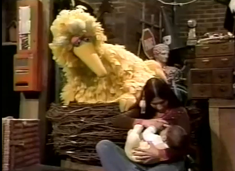 Big Bird Nursing