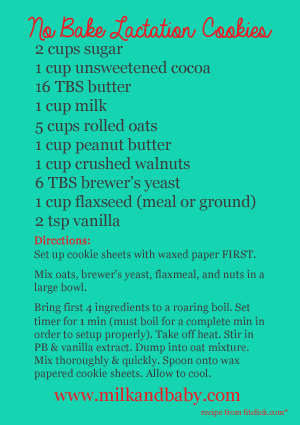 No Bake Lactation Cookies