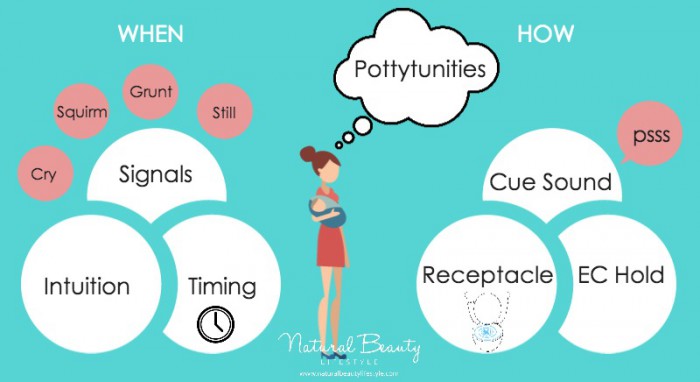 Offering_Pottytunities_Inforgraphic