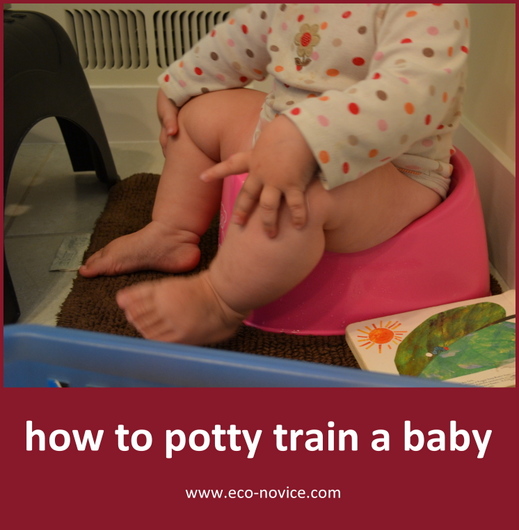 how to potty train a baby
