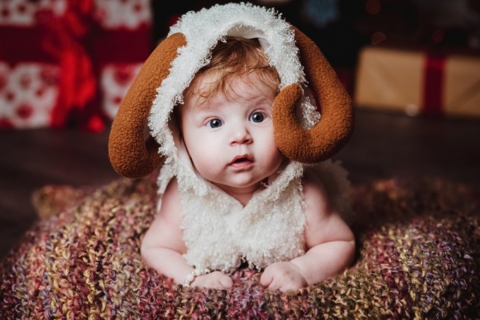 Sheperd Baby
