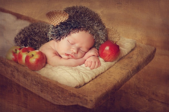 Squirrel Baby